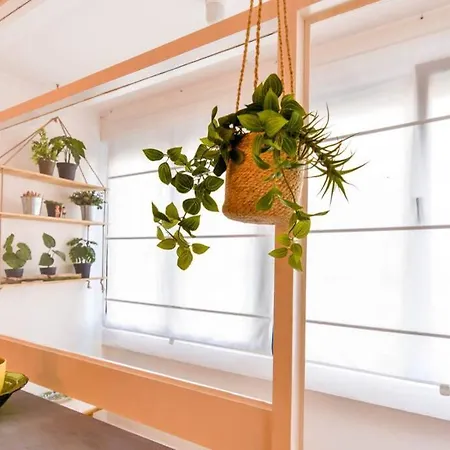 Appartement ¡nuevo! Coqueto Y Comodo Apartamento En Playa