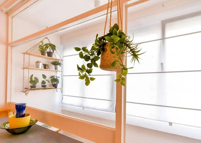 דירה ¡nuevo! Coqueto Y Comodo Apartamento En Playa